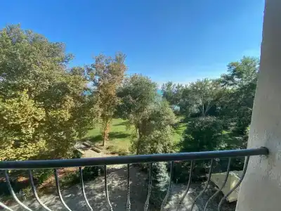 Мечта Тея - 65