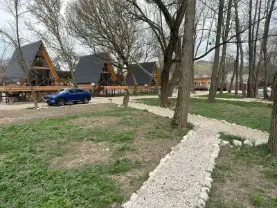 Богатый лес - 43