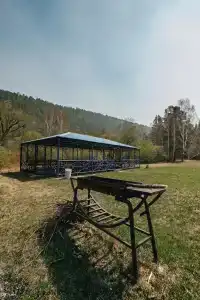 Голубые Ели - 24