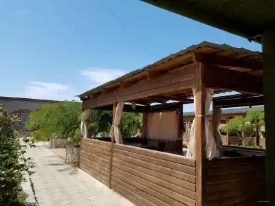 Коралловый фонтан - 12