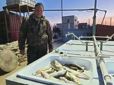 Промысловая - 31