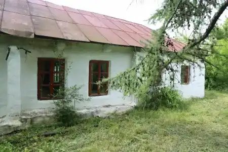 Богатица - 3