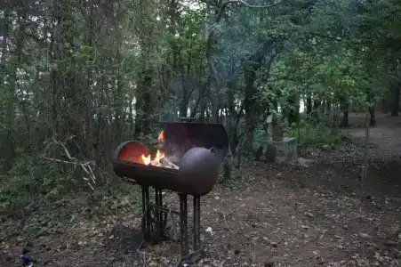 Сосновый берег - 2