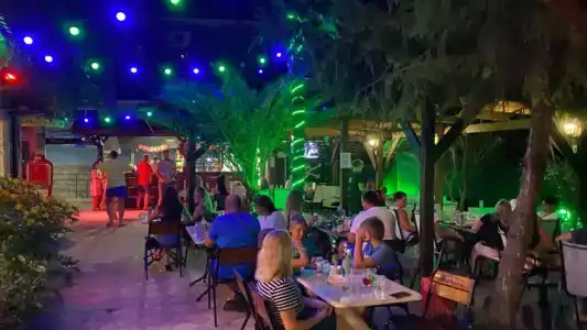 Фламинго - 25