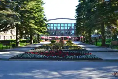 Белое солнце - 5