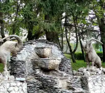 Центральный Детский санаторий - 3