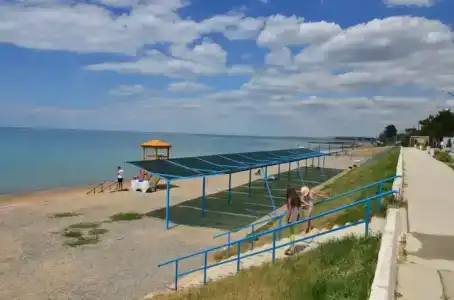 Золотой лев - 50