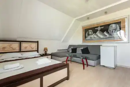 Виноград - 7