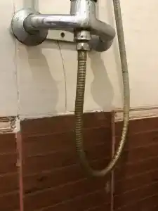 Сафари - 26