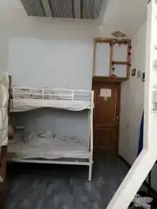 Пихта - 15
