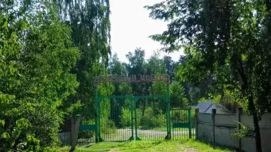 Каменный цветок - 13