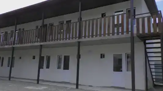 Адениум - 0