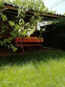 Ревиталь - 10