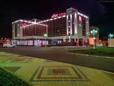 Ибис - 24