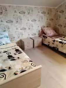Мини гостиница в Хвойной - 2