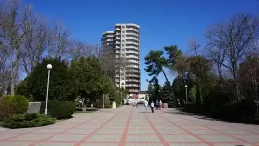 Золотой ямал - 9