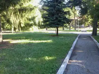 Волга - 88