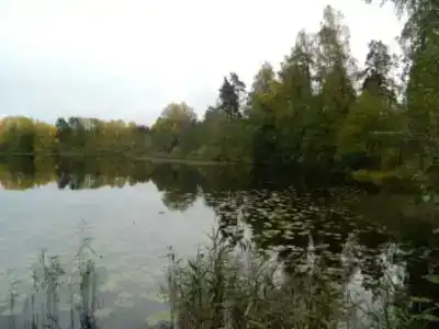 Жемчужина - 3