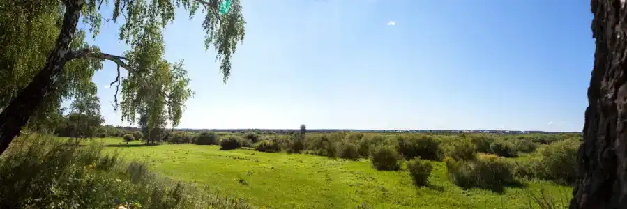 Ласточка - 38