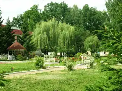 Дубрава - 2