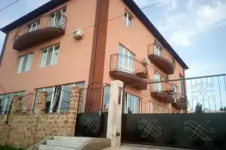 Stella di mare - 7