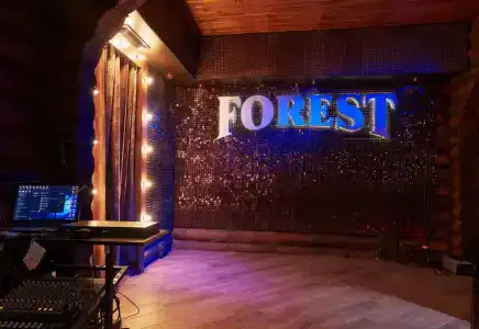 Forest & Fox - 17