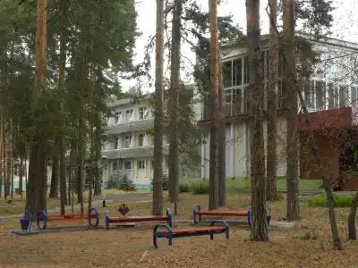 Сосны - 6