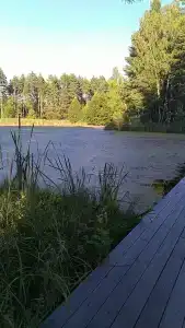 Четыре сезона - 32