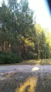 Четыре сезона - 50