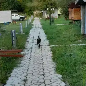 Вишневый сад - 32