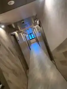 Три совы - 59