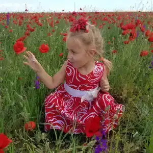 Алисины Избушки - 27