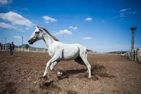 City & Business - 19