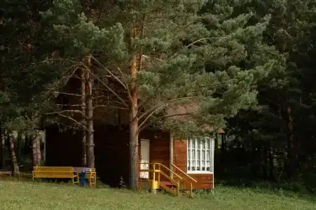 Жемчужина - 27