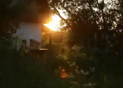 Богатица - 1