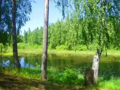 Нёмда - 7
