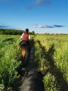 Храброво - 43