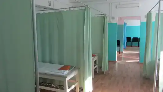 Медуница - 6