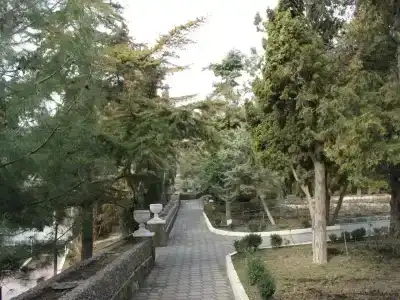 Сокол - 8