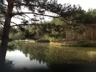 Серебряные ключи - 5