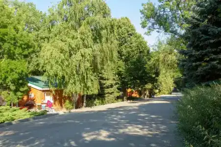 Криница - 14
