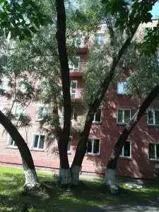 Оптимист - 1