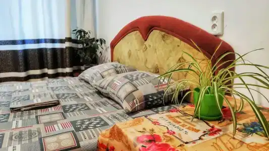 Alla House - 26