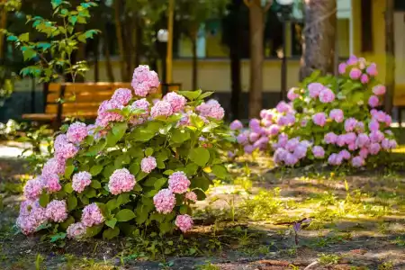 Славутич - 29