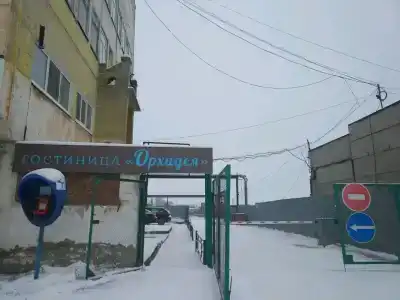 Мужской хостел Орхидея - 0