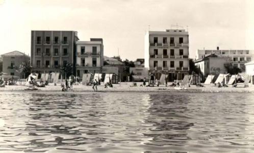 Cavalluccio Marino - 5