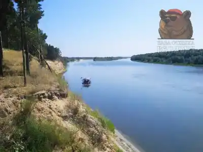 Берлога - 41