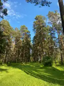 Заимка у Катуни - 9
