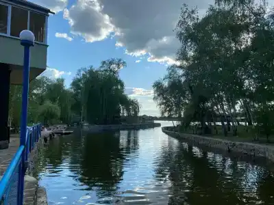 Березка - 6