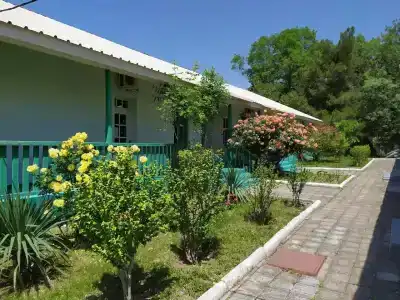 Лаванда - 0